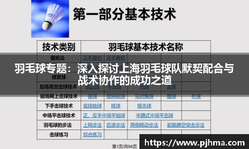 羽毛球专题：深入探讨上海羽毛球队默契配合与战术协作的成功之道