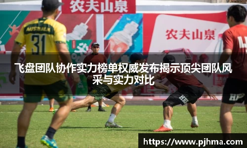飞盘团队协作实力榜单权威发布揭示顶尖团队风采与实力对比