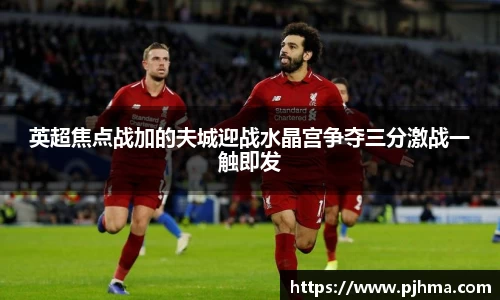 英超焦点战加的夫城迎战水晶宫争夺三分激战一触即发